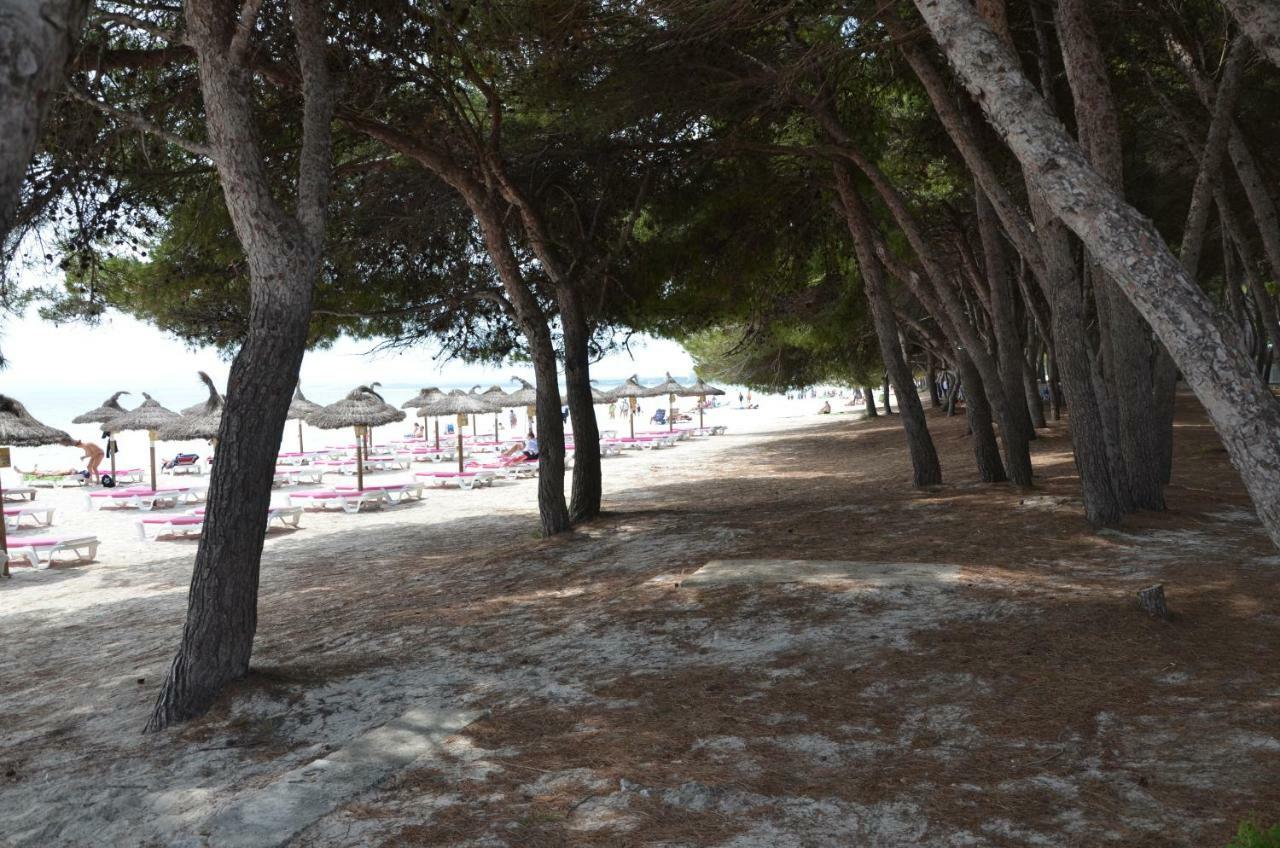 Carrasqueta Vila Port de Alcudia  Exterior foto